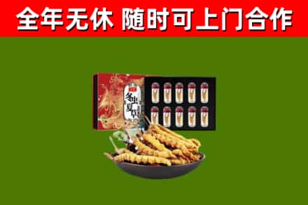 凤庆县回收冬虫夏草价格