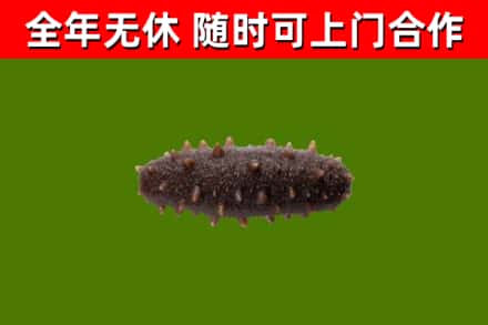 凤庆县烟酒回收干海参.jpg
